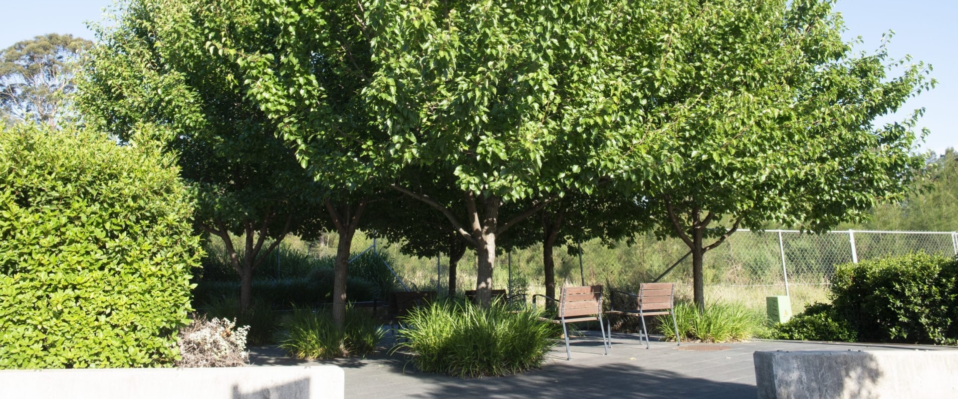 The Importance Of Tree Services In Sustainable Landscape Engineering In Portland