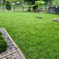 Achieving The Perfect Lawn: The Role Of Grass Sod Companies In Austin, TX's Landscape Engineering