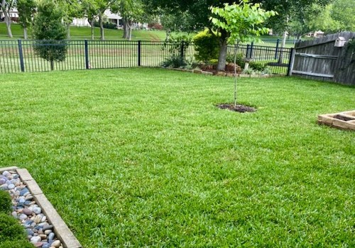 Achieving The Perfect Lawn: The Role Of Grass Sod Companies In Austin, TX's Landscape Engineering